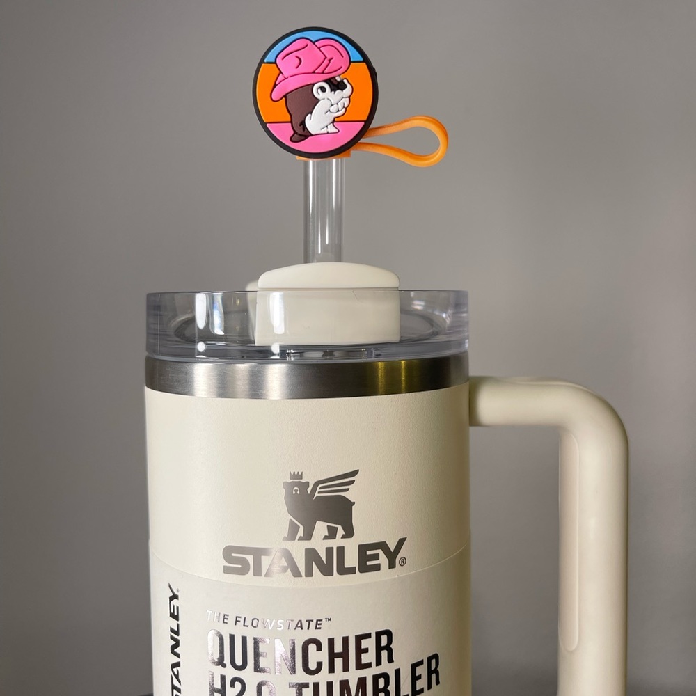 Buccees Stanley topper bundle